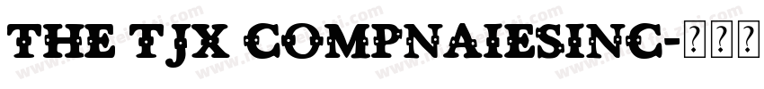 THE TJX COMPNAIESINC字体转换